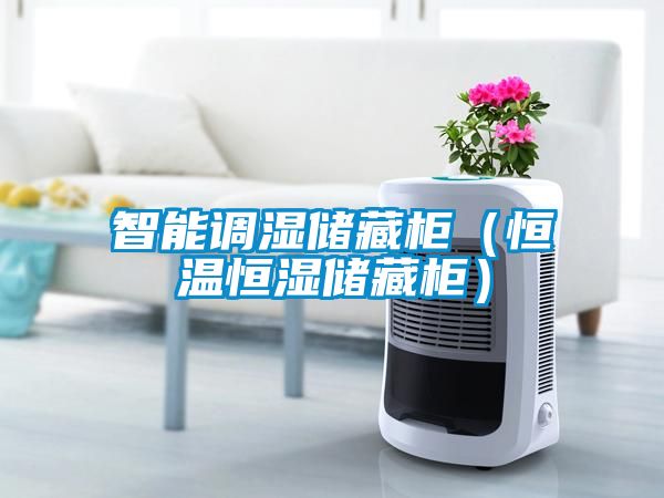 智能調(diào)濕儲藏柜（恒溫恒濕儲藏柜）