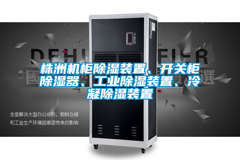 株洲機(jī)柜除濕裝置、開關(guān)柜除濕器、工業(yè)除濕裝置、冷凝除濕裝置