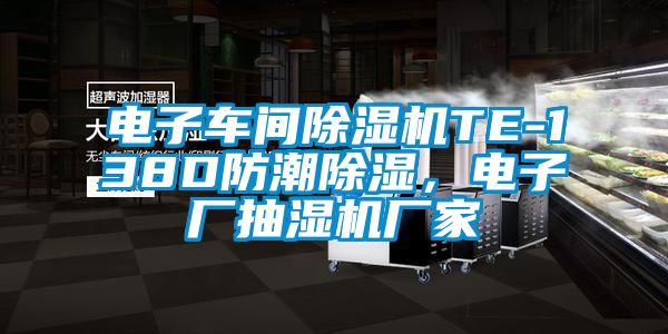 電子車間除濕機TE-138D防潮除濕，電子廠抽濕機廠家
