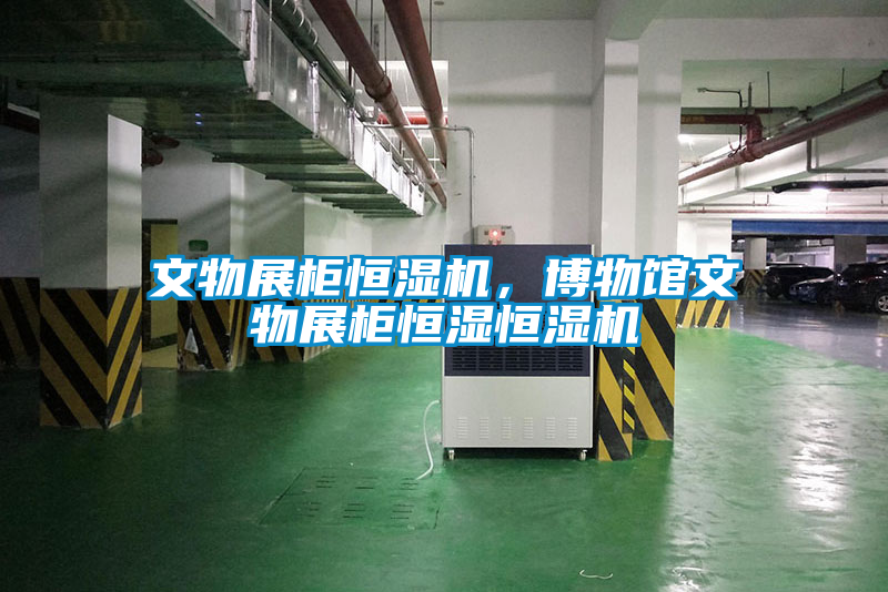 文物展柜恒濕機(jī)，博物館文物展柜恒濕恒濕機(jī)