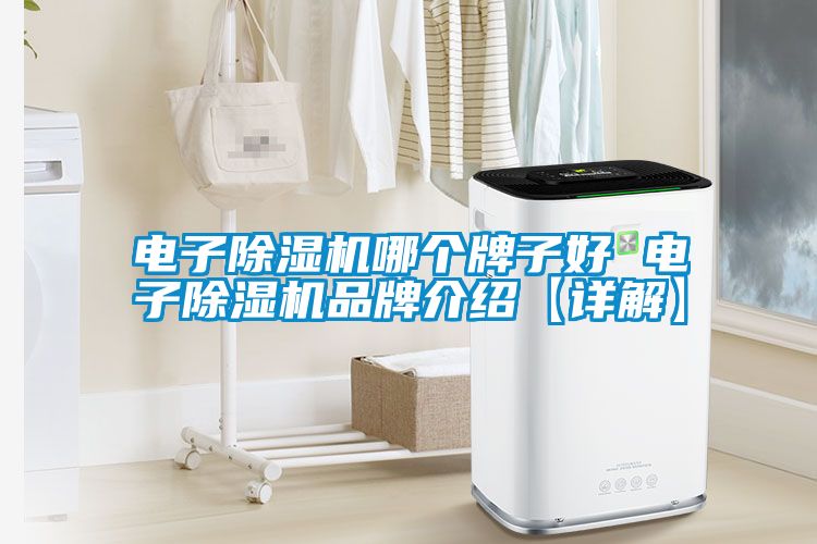 電子除濕機(jī)哪個(gè)牌子好 電子除濕機(jī)品牌介紹【詳解】