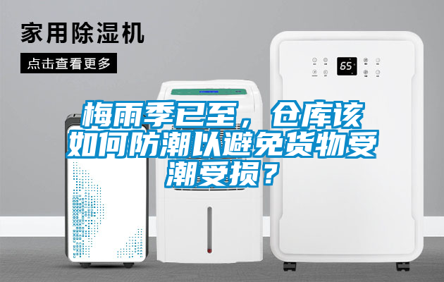 梅雨季已至，倉庫該如何防潮以避免貨物受潮受損？