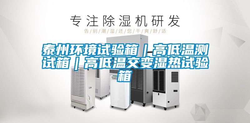 泰州環(huán)境試驗(yàn)箱｜高低溫測試箱｜高低溫交變濕熱試驗(yàn)箱