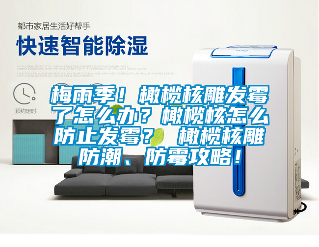梅雨季！橄欖核雕發(fā)霉了怎么辦？橄欖核怎么防止發(fā)霉？ 橄欖核雕防潮、防霉攻略！