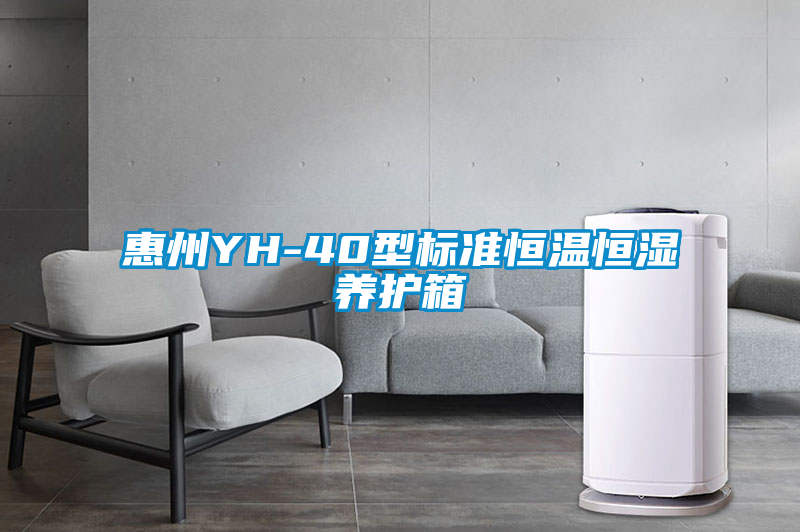 惠州YH-40型標準恒溫恒濕養(yǎng)護箱