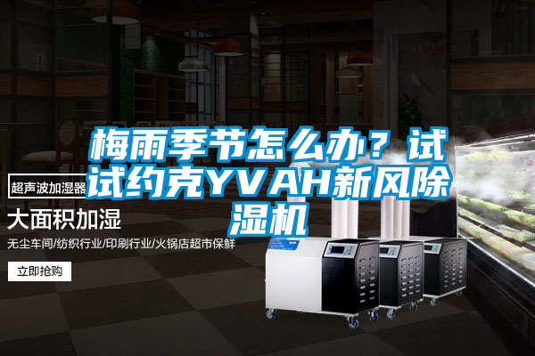 梅雨季節(jié)怎么辦？試試約克YVAH新風除濕機