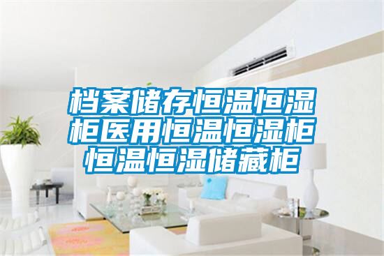 檔案儲存恒溫恒濕柜醫(yī)用恒溫恒濕柜恒溫恒濕儲藏柜