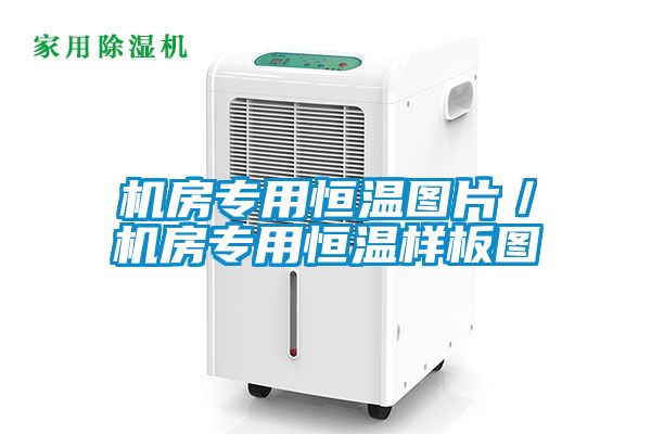 機(jī)房專(zhuān)用恒溫圖片／機(jī)房專(zhuān)用恒溫樣板圖