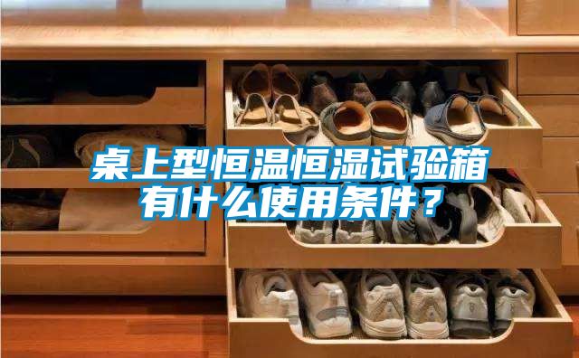 桌上型恒溫恒濕試驗(yàn)箱有什么使用條件？