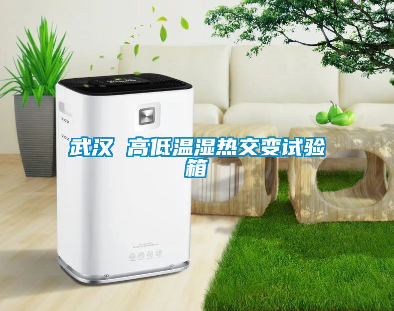 武漢 高低溫濕熱交變試驗箱