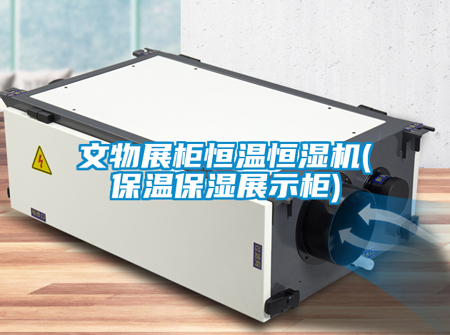 文物展柜恒溫恒濕機(jī)(保溫保濕展示柜)