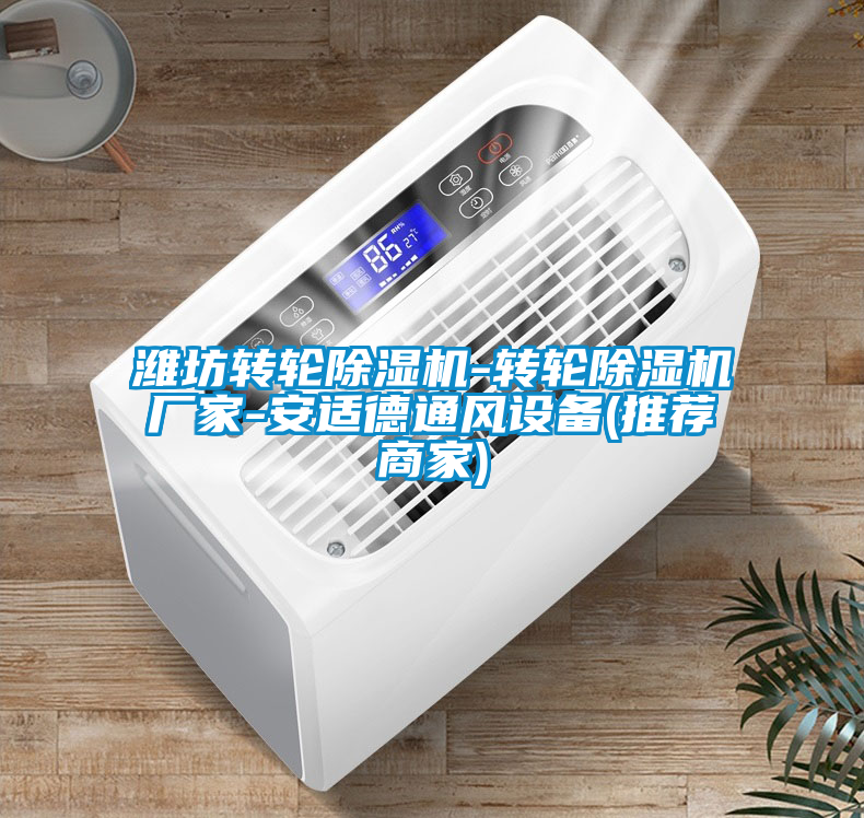 濰坊轉(zhuǎn)輪除濕機-轉(zhuǎn)輪除濕機廠家-安適德通風設(shè)備(推薦商家)