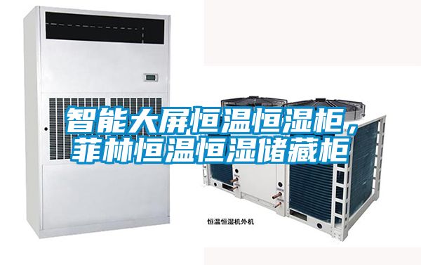 智能大屏恒溫恒濕柜，菲林恒溫恒濕儲(chǔ)藏柜