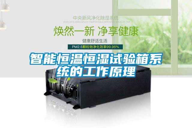 智能恒溫恒濕試驗箱系統(tǒng)的工作原理