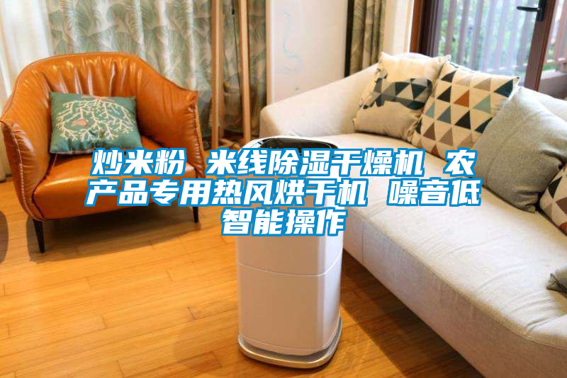 炒米粉 米線除濕干燥機 農(nóng)產(chǎn)品專用熱風烘干機 噪音低智能操作