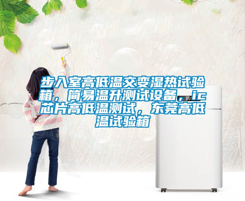 步入室高低溫交變濕熱試驗(yàn)箱，簡易溫升測(cè)試設(shè)備，ic芯片高低溫測(cè)試，東莞高低溫試驗(yàn)箱