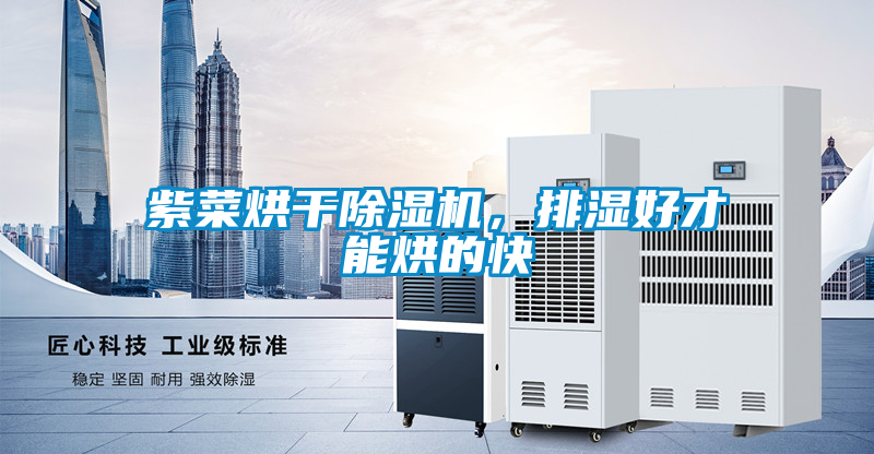 紫菜烘干除濕機，排濕好才能烘的快