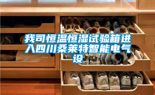 我司恒溫恒濕試驗箱進(jìn)入四川桑萊特智能電氣設(shè)