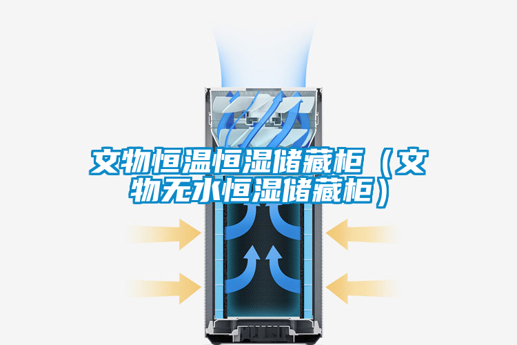文物恒溫恒濕儲(chǔ)藏柜（文物無(wú)水恒濕儲(chǔ)藏柜）
