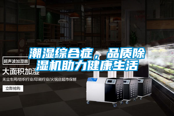 潮濕綜合癥，品質(zhì)除濕機助力健康生活