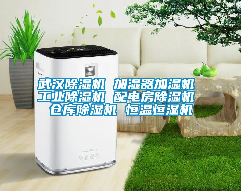 武漢除濕機 加濕器加濕機 工業(yè)除濕機 配電房除濕機 倉庫除濕機 恒溫恒濕機