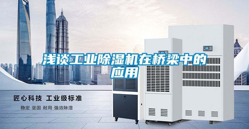 淺談工業(yè)除濕機(jī)在橋梁中的應(yīng)用