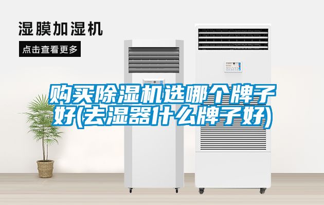 購(gòu)買(mǎi)除濕機(jī)選哪個(gè)牌子好(去濕器什么牌子好)