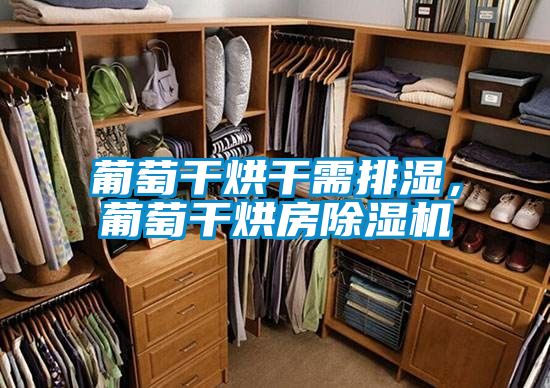 葡萄干烘干需排濕，葡萄干烘房除濕機