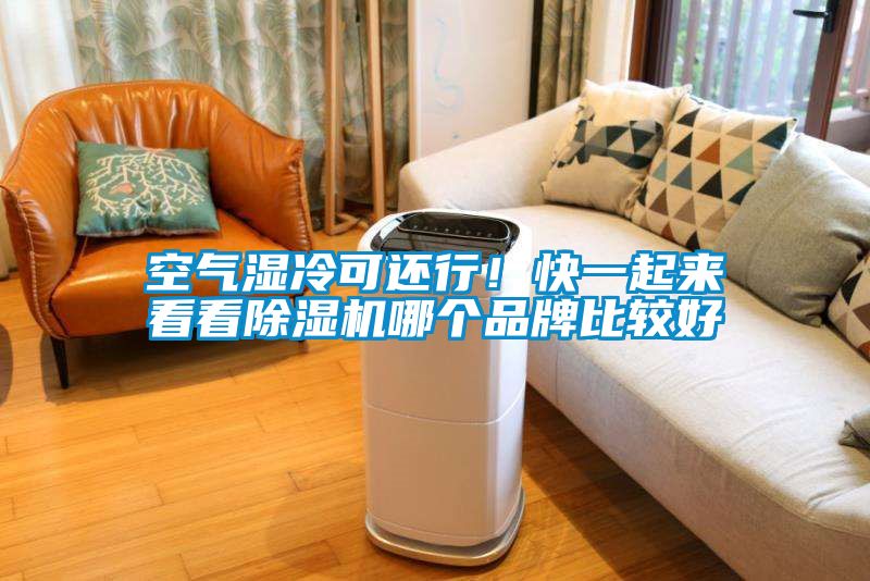 空氣濕冷可還行！快一起來看看除濕機(jī)哪個(gè)品牌比較好