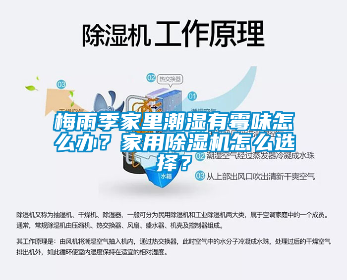 梅雨季家里潮濕有霉味怎么辦？家用除濕機(jī)怎么選擇？