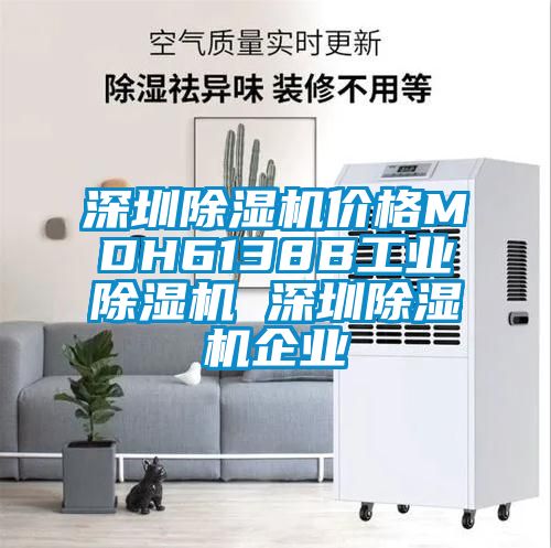 深圳除濕機(jī)價格MDH6138B工業(yè)除濕機(jī) 深圳除濕機(jī)企業(yè)