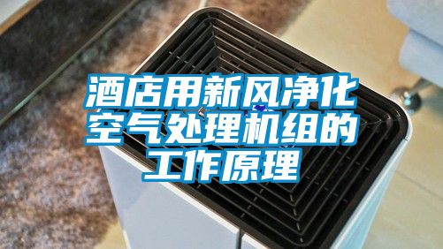 酒店用新風(fēng)凈化空氣處理機組的工作原理
