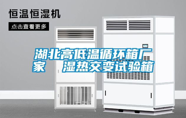 湖北高低溫循環(huán)箱廠家  濕熱交變?cè)囼?yàn)箱