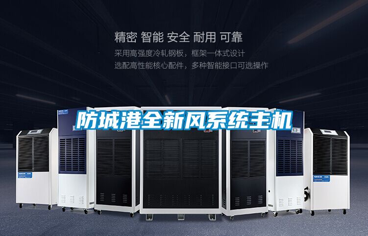 防城港全新風(fēng)系統(tǒng)主機