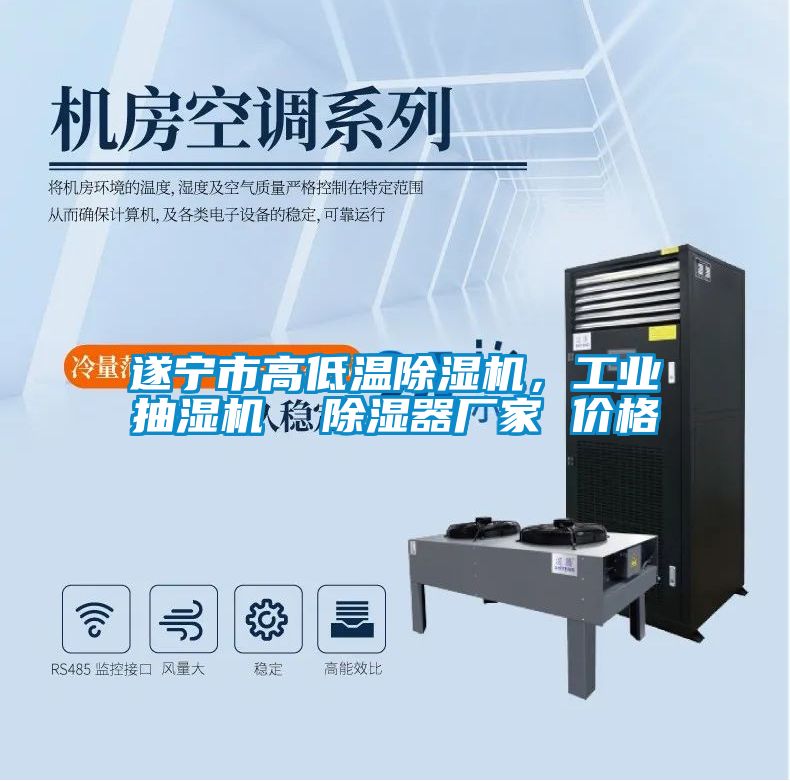 遂寧市高低溫除濕機(jī)，工業(yè)抽濕機(jī)  除濕器廠家 價(jià)格