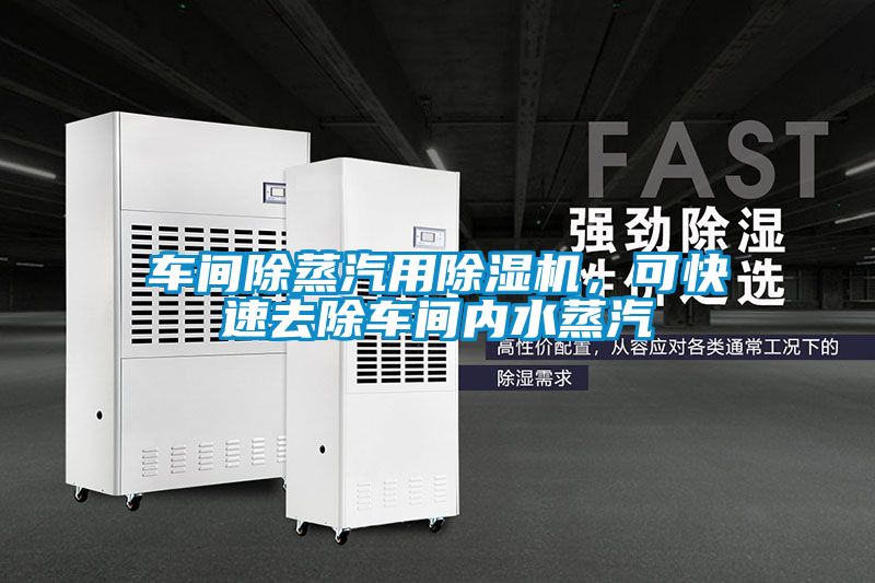 車間除蒸汽用除濕機，可快速去除車間內(nèi)水蒸汽