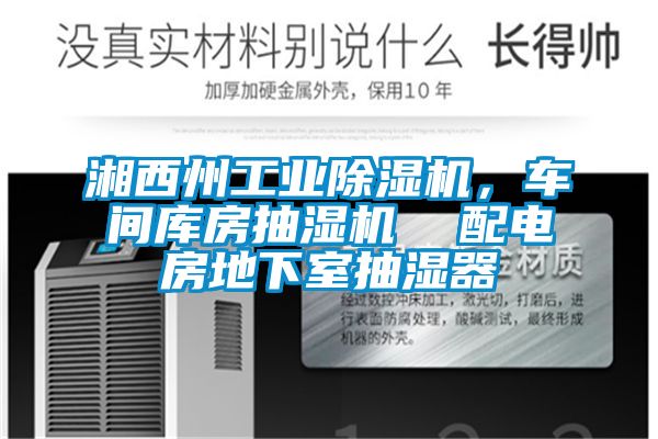 湘西州工業(yè)除濕機，車間庫房抽濕機  配電房地下室抽濕器