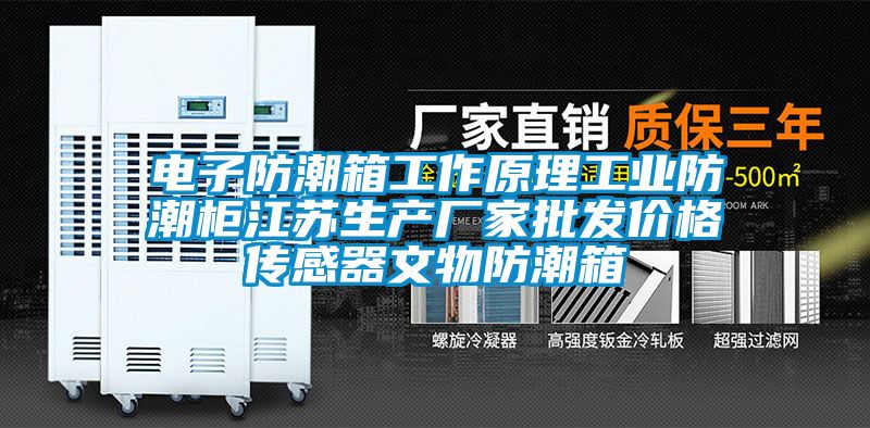 電子防潮箱工作原理工業(yè)防潮柜江蘇生產(chǎn)廠家批發(fā)價(jià)格傳感器文物防潮箱