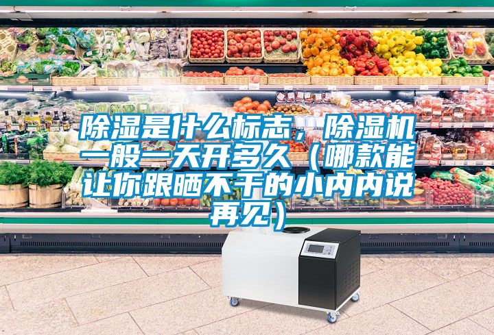 除濕是什么標(biāo)志，除濕機(jī)一般一天開多久（哪款能讓你跟曬不干的小內(nèi)內(nèi)說再見）