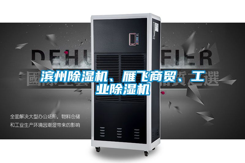 濱州除濕機(jī)、雁飛商貿(mào)、工業(yè)除濕機(jī)