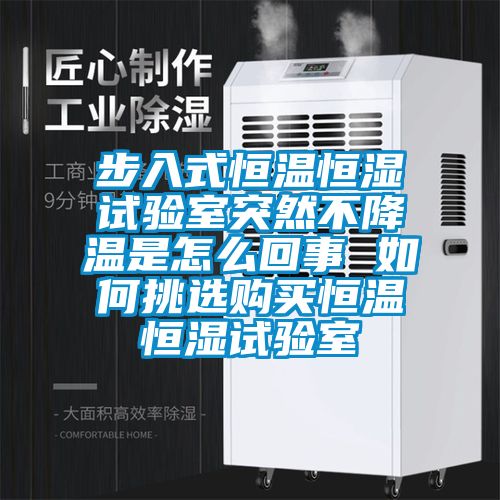 步入式恒溫恒濕試驗(yàn)室突然不降溫是怎么回事 如何挑選購(gòu)買恒溫恒濕試驗(yàn)室