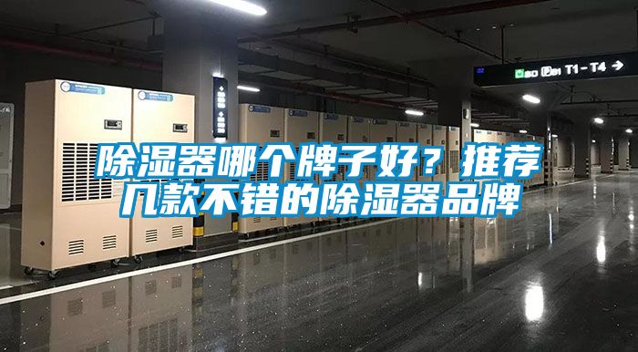 除濕器哪個牌子好？推薦幾款不錯的除濕器品牌