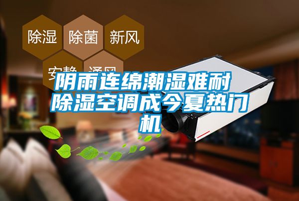 陰雨連綿潮濕難耐 除濕空調(diào)成今夏熱門(mén)機(jī)