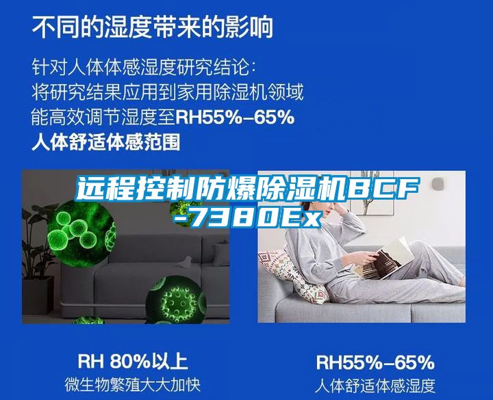 遠(yuǎn)程控制防爆除濕機(jī)BCF-7380Ex