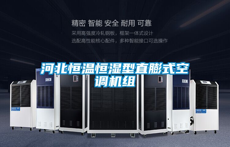 河北恒溫恒濕型直膨式空調(diào)機組