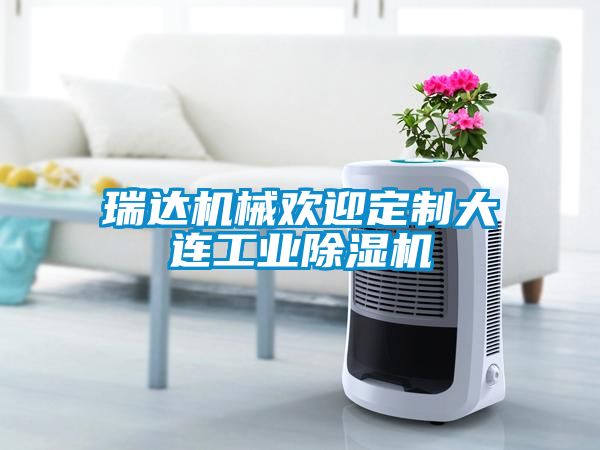 瑞達機械歡迎定制大連工業(yè)除濕機
