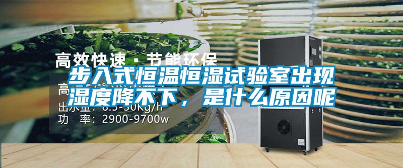 步入式恒溫恒濕試驗(yàn)室出現(xiàn)濕度降不下，是什么原因呢