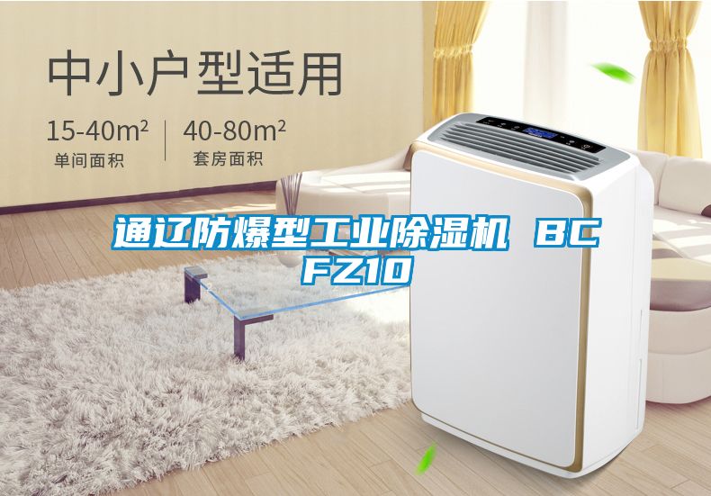 通遼防爆型工業(yè)除濕機(jī) BCFZ10