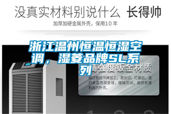 浙江溫州恒溫恒濕空調(diào)，濕菱品牌SL系列