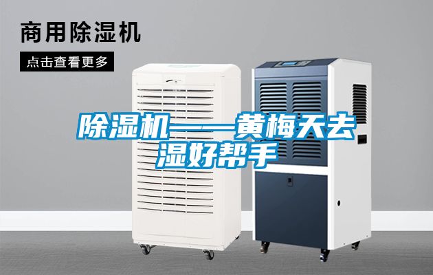 除濕機(jī)——黃梅天去濕好幫手